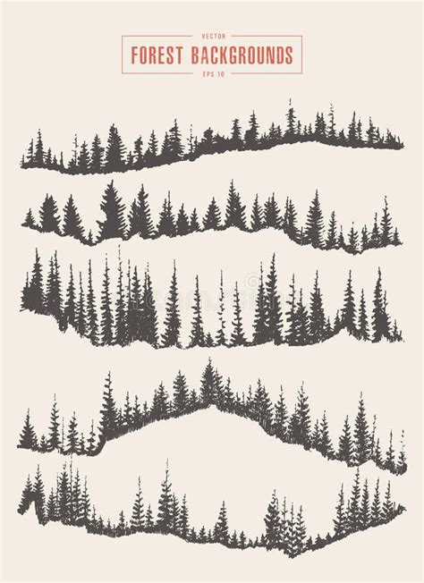 Pine forest background vector drawn sketch. Pine forest background ...