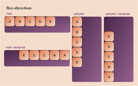 Study Guide for HTML/CSS | The Open Notes