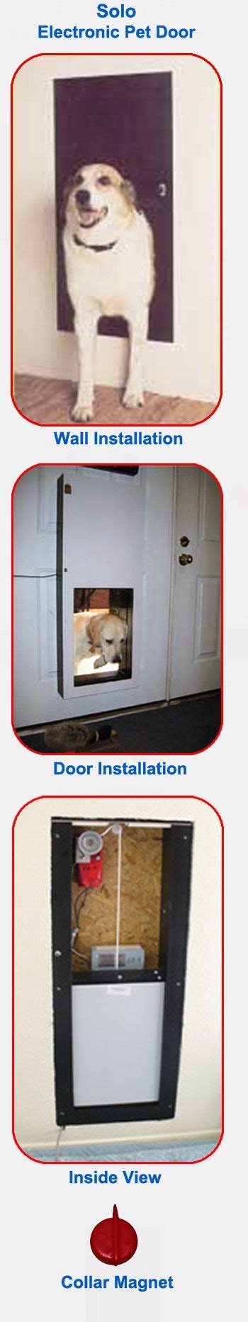 Electric Dog Doors Reviewed | Electric dog door, Dog door, Pet door