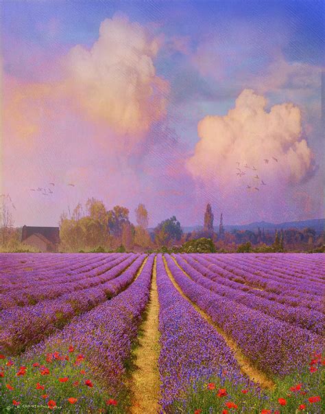 Lavender Fields Provence Painting by R christopher Vest - Fine Art America