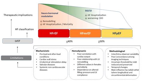 JCM | Free Full-Text | Does the Measurement of Ejection Fraction Still Make Sense in the HFpEF ...