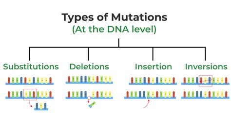 Notes for CBSE Class 12 Biology Chapter 4