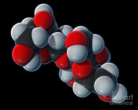 Sucrose Molecular Model Photograph by Evan Oto - Pixels