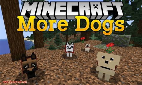 More Dogs Mod 1.15.2, 1.14.4 (More Dog Breeds to Minecraft) - Mc-Mod.Net