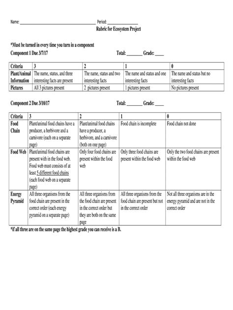 Ecosystem Project Rubric - Fill Online, Printable, Fillable, Blank ...