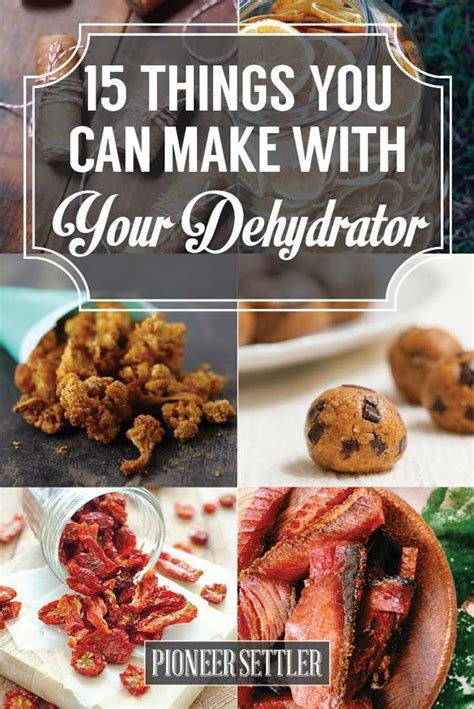 15 Dehydrator Recipes To Make This Weekend | Survival Life | Dehydrator recipes, Recipes, Food