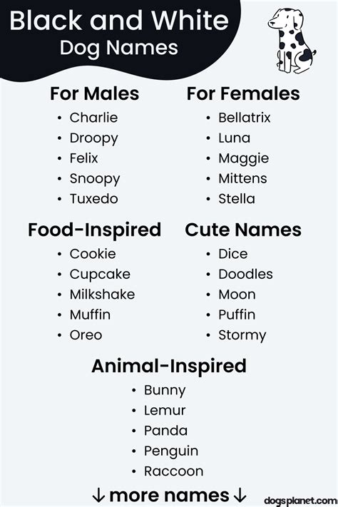 110+ Black and White Dog Names (With Meanings!) - DogsPlanet.com