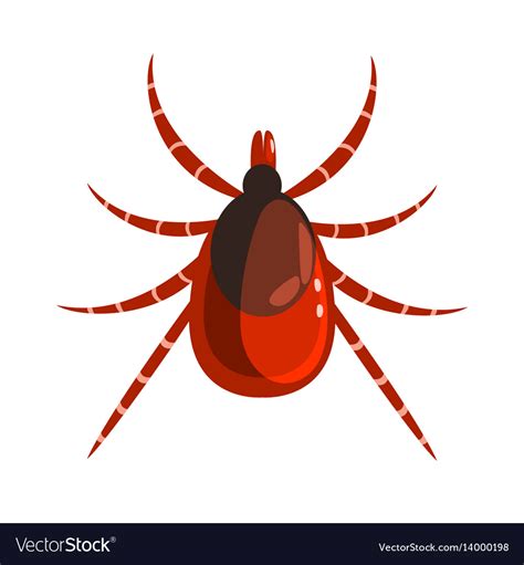 Mite or tick dangerous parasite colorful cartoon Vector Image