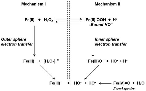 inorganic chemistry - What is the actual mechanism of Fenton reaction? - Chemistry Stack Exchange