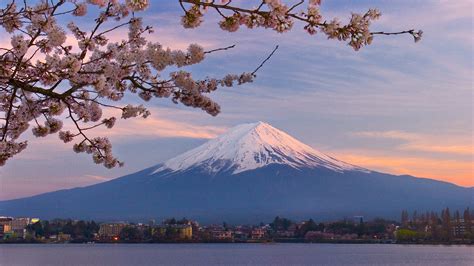 Wallpaper : mountains, Mount Fuji, lake, snow, winter, sunrise, morning, cherry blossom, dusk ...