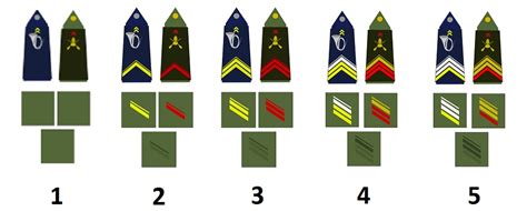 Ranks of the French army - Militär Wissen