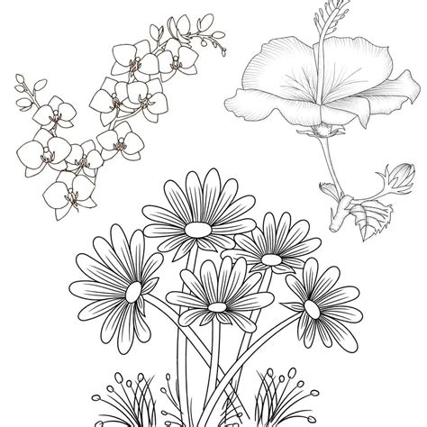 Coloring Pages Of Wild Flowers