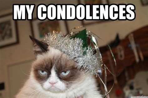 Image result for my condolences meme funny | Grumpy cat, Grumpy, Cats