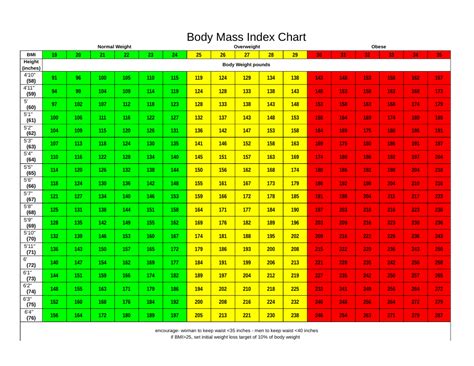 Body Mass Index Chart Download Printable Pdf Templateroller | SexiezPix ...