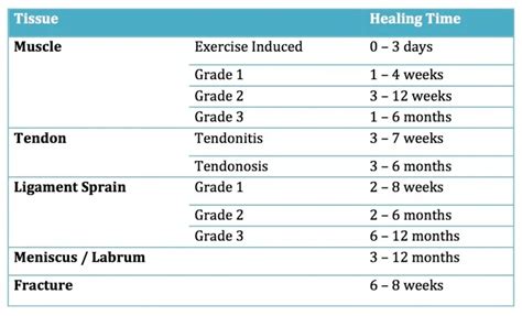 SOFT TISSUE HEALING TIMES! - The Physio GroupThe Physio Group