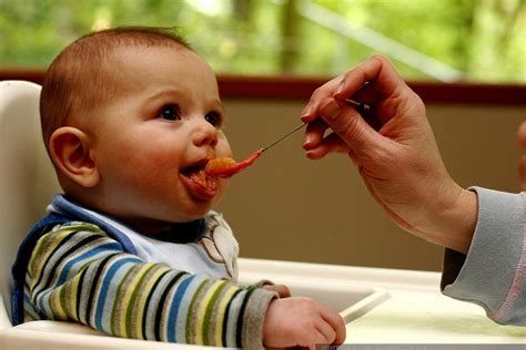 Should You Feed Your Baby Iron Fortified Foods? | Food Renegade