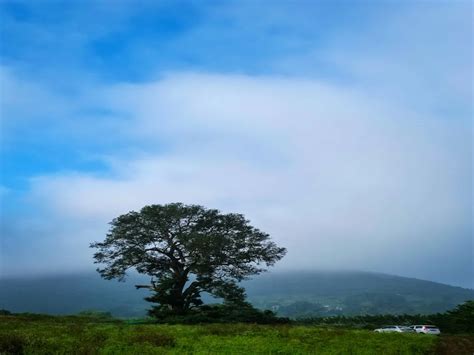 Explore Araku Valley Tourism: Travel Guide Top Places | Omeeyo