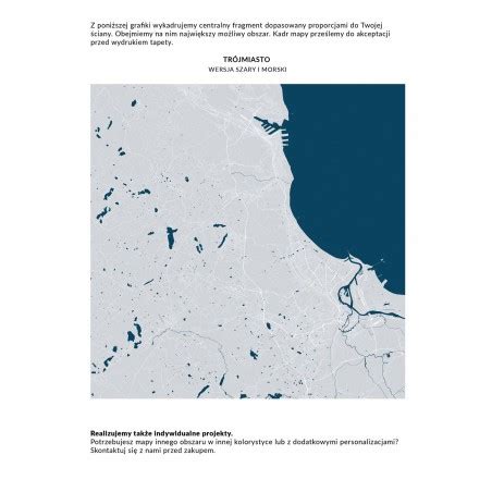 Trójmiasto - Mapa tapeta - plan Trójmiasta na całej ścianie