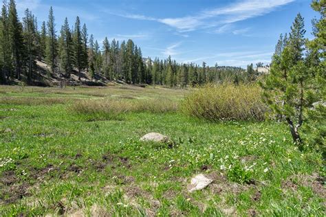 North Lake Tahoe Hiking Trails: Tahoe Meadows Interpretive Loop | Lake tahoe hiking, Tahoe ...