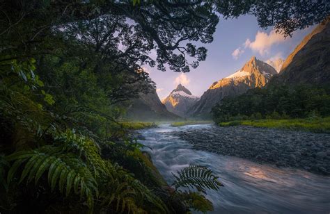 Forest River | New Zealand | Marc Adamus Photography