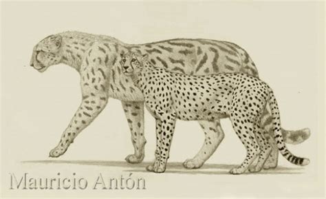 Giant cheetah | Dinopedia | Fandom