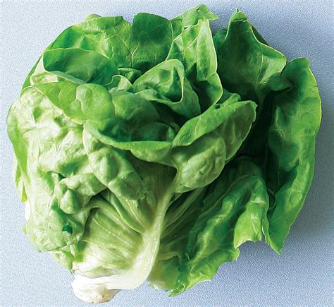 Lettuce - Types, Nutrition Facts, Calories, Carbs - Health Benefits