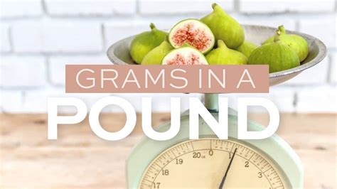 How Many Grams In a Pound? {Simple Conversion}