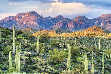 The Sonoran Desert - WorldAtlas