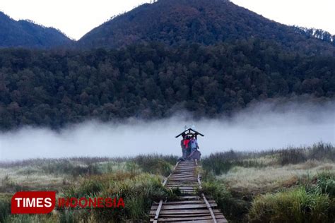 Trek Pendakian Terpanjang di Pulau Jawa Hanya di Gunung Argopuro, Ini Jalurnya - TIMES Jatim