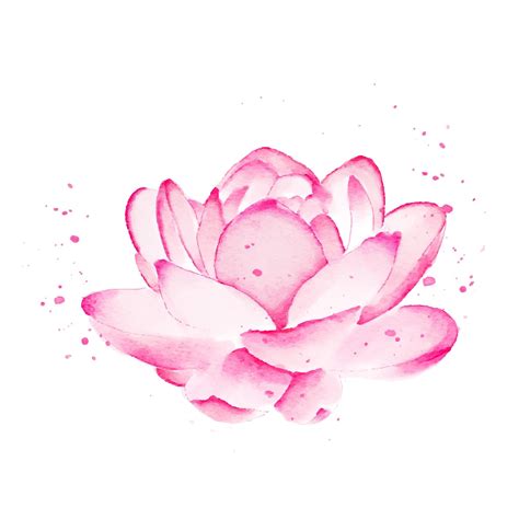 Premium Vector | Lotus flower watercolor