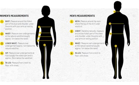 Bisley Workwear - Size Chart – Evoke Uniforms