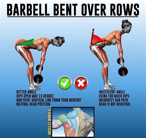 🔥how to barbell rows | guide - weighteasyloss.com - Fitness Lifestyle | Fitness and Bodybuilding ...