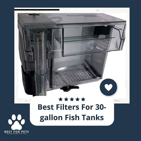 The 9 Best Filters For 30-gallon Fish Tanks of 2023