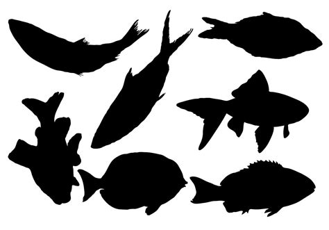 Free Fish Silhouette Vector 99756 Vector Art at Vecteezy