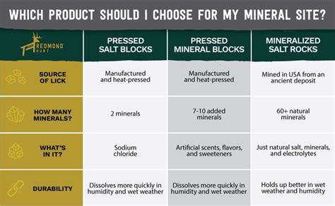 Deer Salt Block vs. Natural Mineral Rock