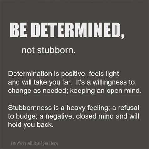 Quotes About Stubborn People. QuotesGram