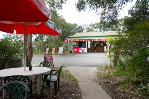 Noosa North Shore Beach Campground in Noosa North Shore, Queensland