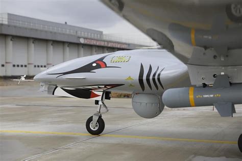 Poland buys Bayraktar TB2 armed drones from Turkey