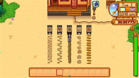 Stardew Valley Paths: Different Types, Designs, Decay, and More