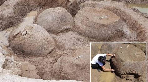 Argentinian farmer Discovered a prehistoric giant Armadillo shell