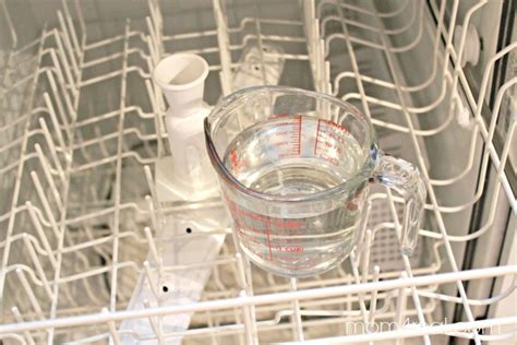 Easy Way To Clean A Dishwasher With Vinegar HGTV, 49% OFF