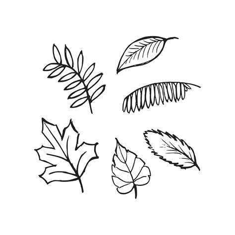 Fall Leaves Black And White Vector Art, Icons, and Graphics for Free ...