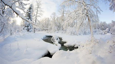 Alaska Winter Frost Wallpapers - Wallpaper Cave