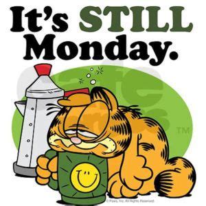 Pin on Garfield I Hate Mondays Quote