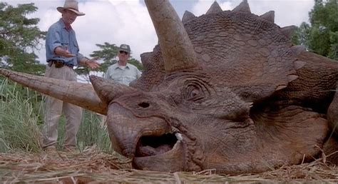 Sick Triceratops (S/F) / (S/F-T/G) – Jurassic-Pedia