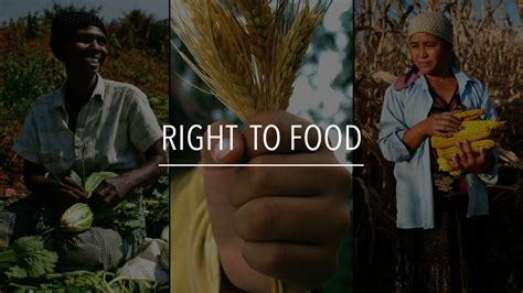 FAO Policy Series: Right to Food - YouTube