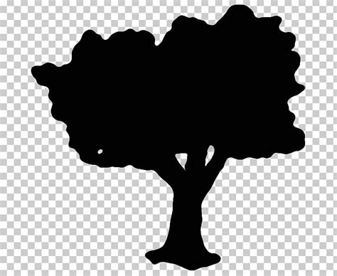 Tree Black Silhouette White PNG, Clipart, Black, Black And White, Black M, Flowering Plant, Leaf ...