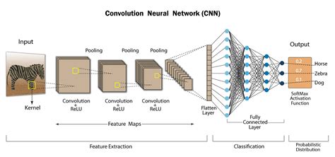 Convolutional Neural Network | DataDrivenInvestor