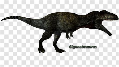 Giganotosaurus Argentinosaurus Carcharodontosaurus Mosasaurus Allosaurus - Dinosaur Transparent PNG