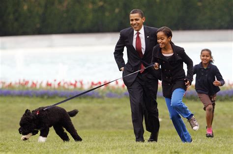 BARACK OBAMA RUNS WITH FIRST DOG BO 8X10 PHOTO PRES Collectable US ...